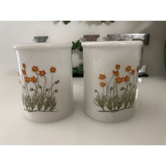 Takashi Ceramic Salt and Pepper Shakers‎ Orange Flowers - Picture 15 of 16